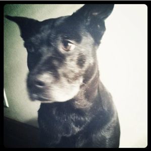 Meet your Posher, Virginia